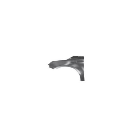 PARAFANGO ANTER.SX FI 500 2007