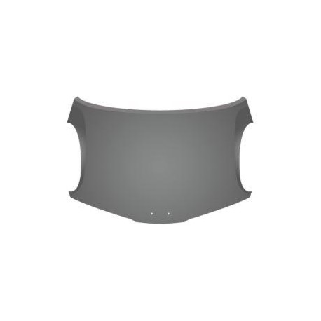 COFANO ANTERIORE NS MICRA 2003