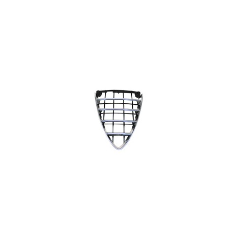 SCUDO ANTERIORE AR 159 2005