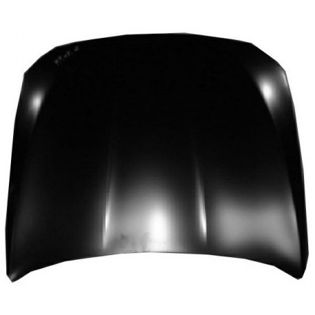 COFANO ANTERIORE BMW SR.5 2010>