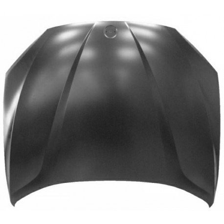COFANO ANTERIORE BMW X1 2010>