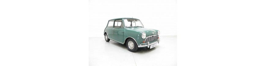 Mini Minor (mi10)